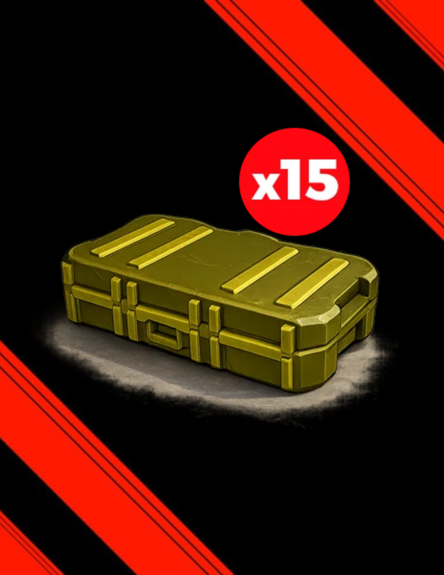 15X Skin Case 2